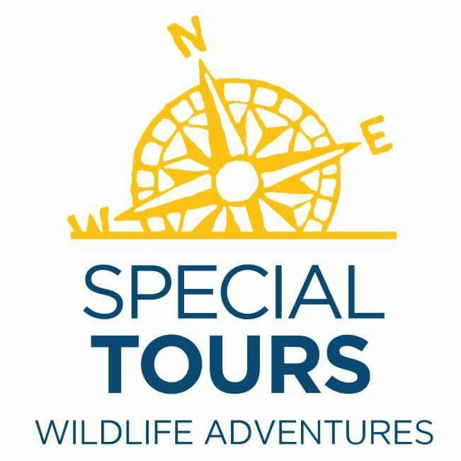 Special Tours